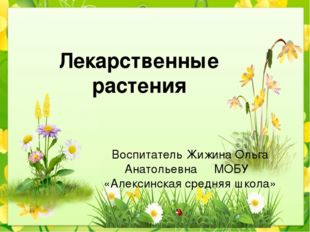 Лекарственные растения Воспитатель Жижина Ольга Анатольевна МОБУ «Алексинская