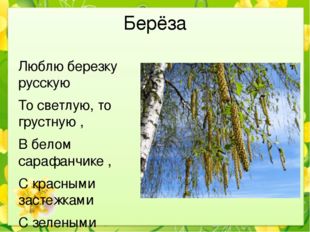 Берёза Люблю березку русскую То светлую, то грустную , В белом сарафанчике ,