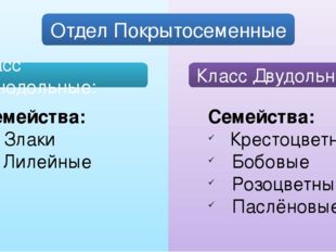 Отдел Покрытосеменные Семейства: Злаки Лилейные Семейства: Крестоцветные Боб