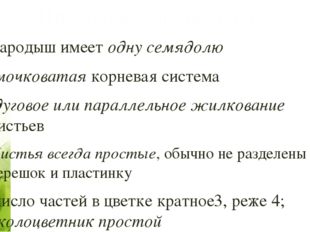 Признаки Однодольных: зародыш имеет одну семядолю мочковатая корневая система