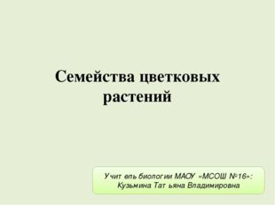 Семейства цветковых растений Учитель биологии МАОУ «МСОШ №16»: Кузьмина Татья