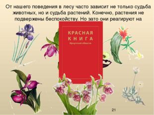 От нашего поведения в лесу часто зависит не только судьба животных, но и судь