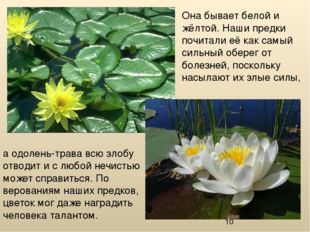 а одолень-трава всю злобу отводит и с любой нечистью может справиться. По вер