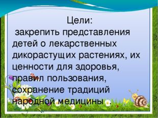 Цели: закрепить представления детей о лекарственных дикорастущих растениях, и