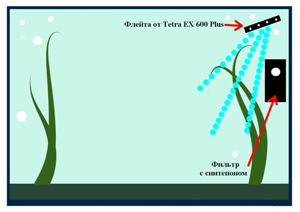 фильтрация в аквариуме с мхами