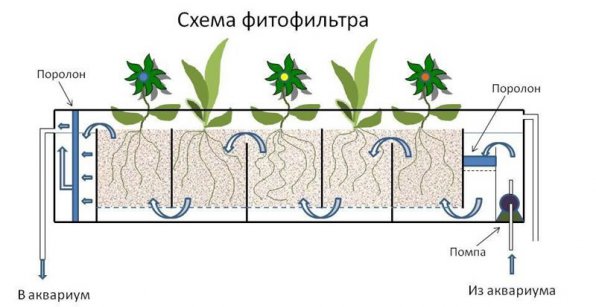 схема фитофильтра