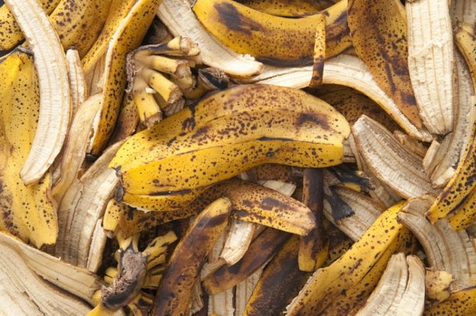 Банановая кожура в качестве удобрения