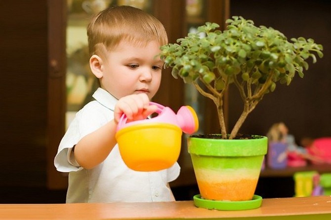 Растения безопасные для детей и животных