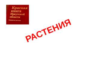 РАСТЕНИЯ 