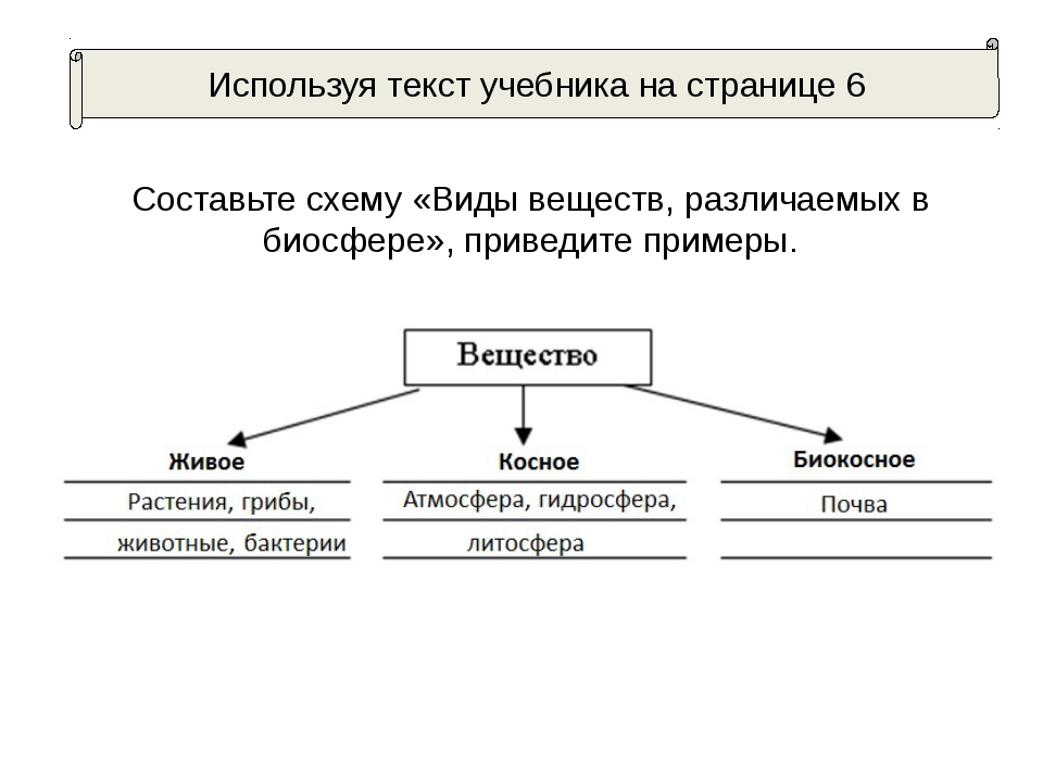 царство растений краткий конспект 7класс