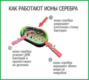 как работают ионы серебра