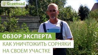 Как уничтожить сорняки на своем участке