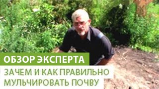 Миниатюра для видео