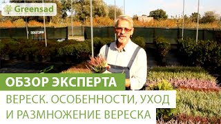 Миниатюра для видео