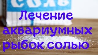 Лечение аквариумных рыбок солью! [#Аквариумные рыбки]