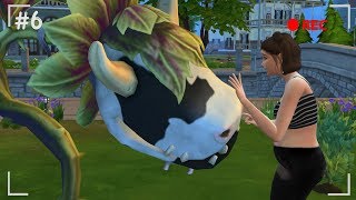 ✦ THE SIMS 4: БЕРЕМЕННЫЙ ПОДРОСТОК! ЖВАЧНОЕ РАСТЕНИЕ - КОРОВА!!) ➲ Ачивки/Задания #6 ✦