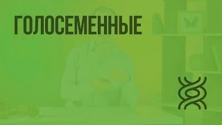 Голосеменные