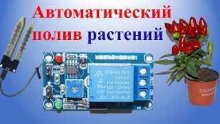 Автоматический полив растений