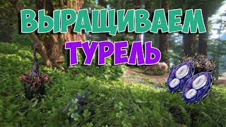 ВЫРАЩИВАЕМ ТУРЕЛЬ? | ЗАНИМАЕМСЯ САДОВОДСТВОМ | ВЫЖИВАНИЕ В ARK SURVIVAL EVOLVED!