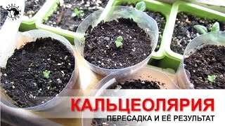 Миниатюра для видео