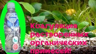 Одна из причин плохого роста аквариумных растений! Выводим органику Гиацинтом#Аквариумные растения]