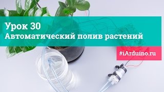 Урок 30. Автоматический полив растений