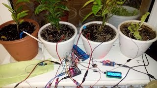 Автоматический полив на базе ARDUINO