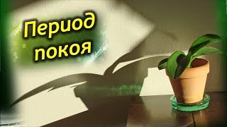 Миниатюра для видео