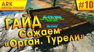 Ark: Survival Evolved - Как сажать/вырастить органическую турель?