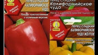 Перец Калифорнийское чудо ОТЗЫВЫ семена