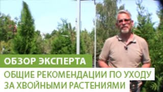 Миниатюра для видео