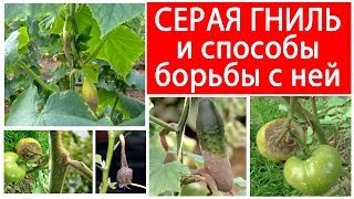 Миниатюра для видео