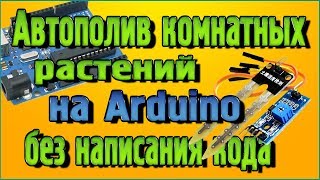 Автополив комнатных растений на Arduino без написания кода