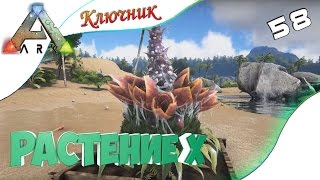 ARK Survival Evolved. Серия 58 - Растение Х.