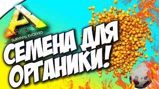 СЕМЕНА ДЛЯ ТУРЕЛЕЙ! - ARK: Survival Evolved