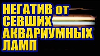 Почему некоторые Растения в Аквариуме пропадают. Или зачем нужно вовремя менять Аквариумные Лампы