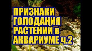 Признаки минерального голодания у Аквариумных растений. Макроудобрения ч.2. Удобрения для аквариума