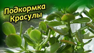 Миниатюра для видео