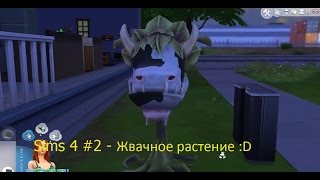 Sims 4 - продолжение #3 Жвачное растение