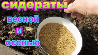 Миниатюра для видео