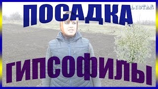 Миниатюра для видео