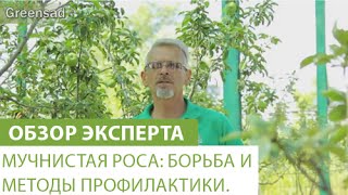 Миниатюра для видео