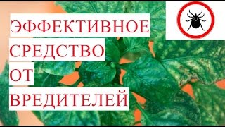 Миниатюра для видео