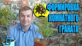 Миниатюра для видео