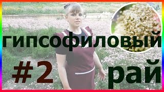 Миниатюра для видео