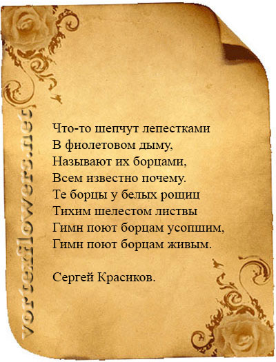 легенды о борце