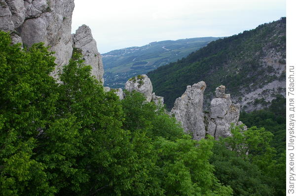 Внизу Южный берег Крыма, Черное море.