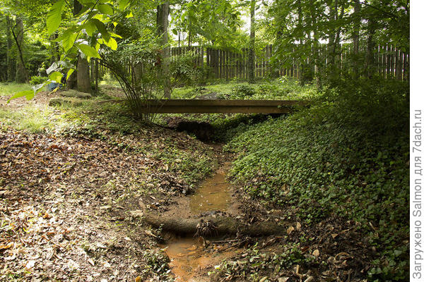 Ручей, заболачивающий участок. Фото с сайта pro-earth-landscaping.com