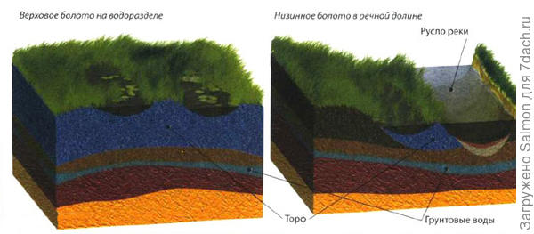 Схема расположения торфа на верховом и низовом болоте. Фото с сайта infoglaz.ru
