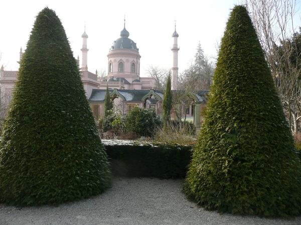 Туя складчатая, Шветцинген, Турецкий сад, Германия. Фото с сайта wikimedia.org